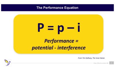 The Performance Equation