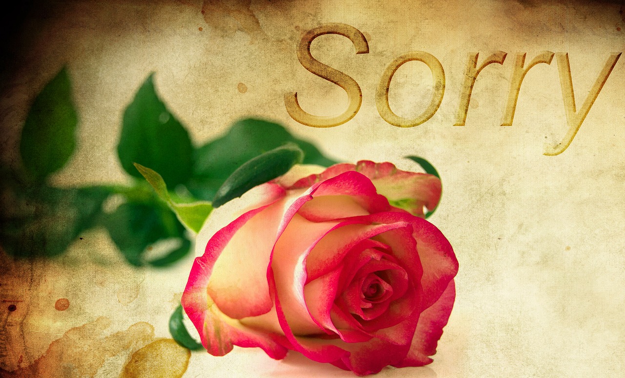 Can you make the gift of saying sorry? - Awareness in Action