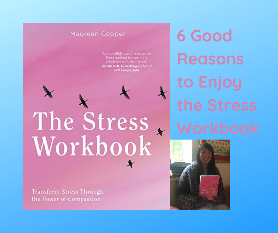 6 Good Reasons to Enjoy the Stress Workbook - Awareness in Action